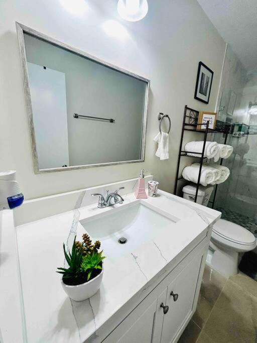 Vintage Family Scape + Heated Pool&Discount Villa Tampa Eksteriør billede
