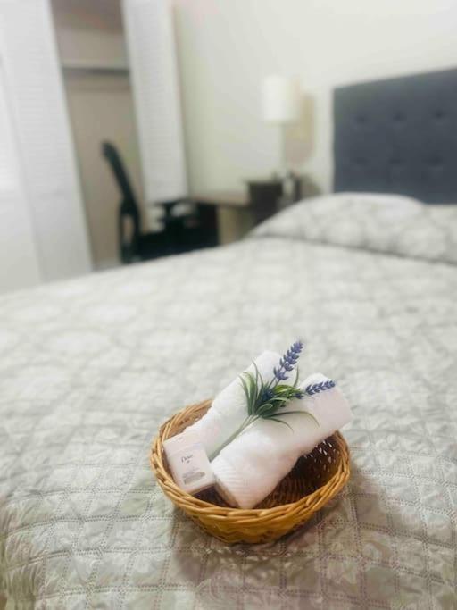 Vintage Family Scape + Heated Pool&Discount Villa Tampa Eksteriør billede