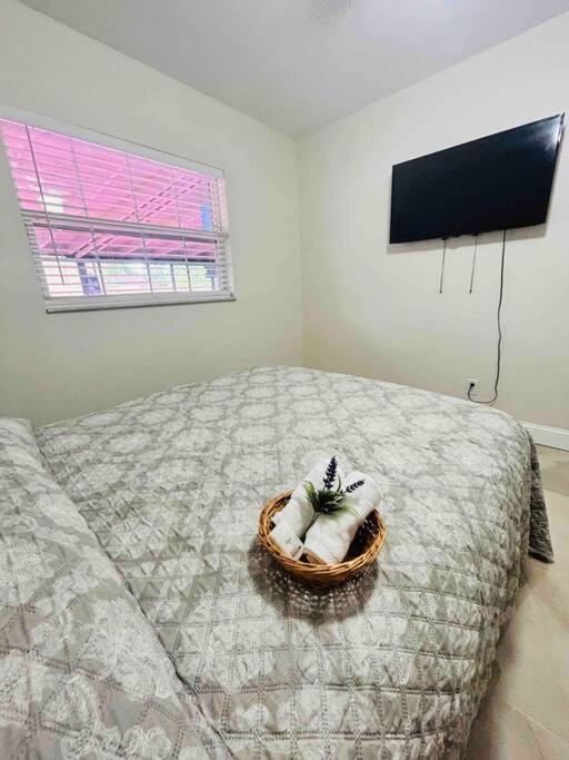 Vintage Family Scape + Heated Pool&Discount Villa Tampa Eksteriør billede