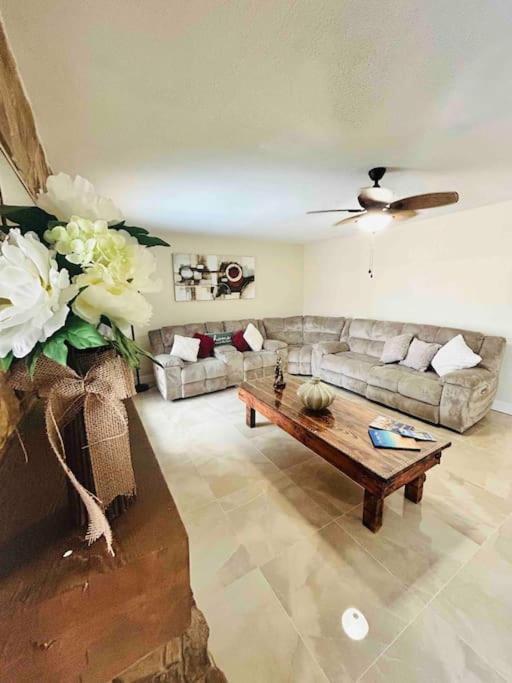 Vintage Family Scape + Heated Pool&Discount Villa Tampa Eksteriør billede