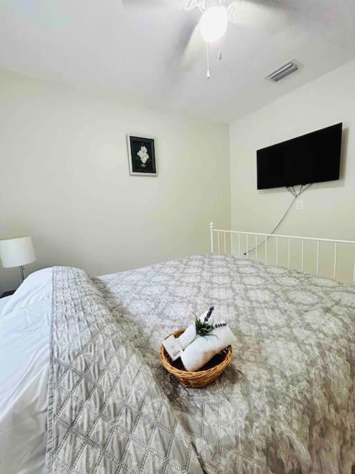 Vintage Family Scape + Heated Pool&Discount Villa Tampa Eksteriør billede