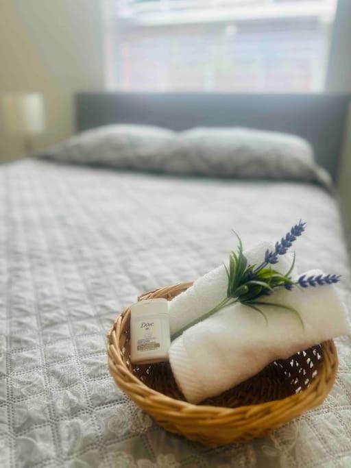 Vintage Family Scape + Heated Pool&Discount Villa Tampa Eksteriør billede
