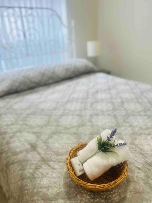 Vintage Family Scape + Heated Pool&Discount Villa Tampa Eksteriør billede